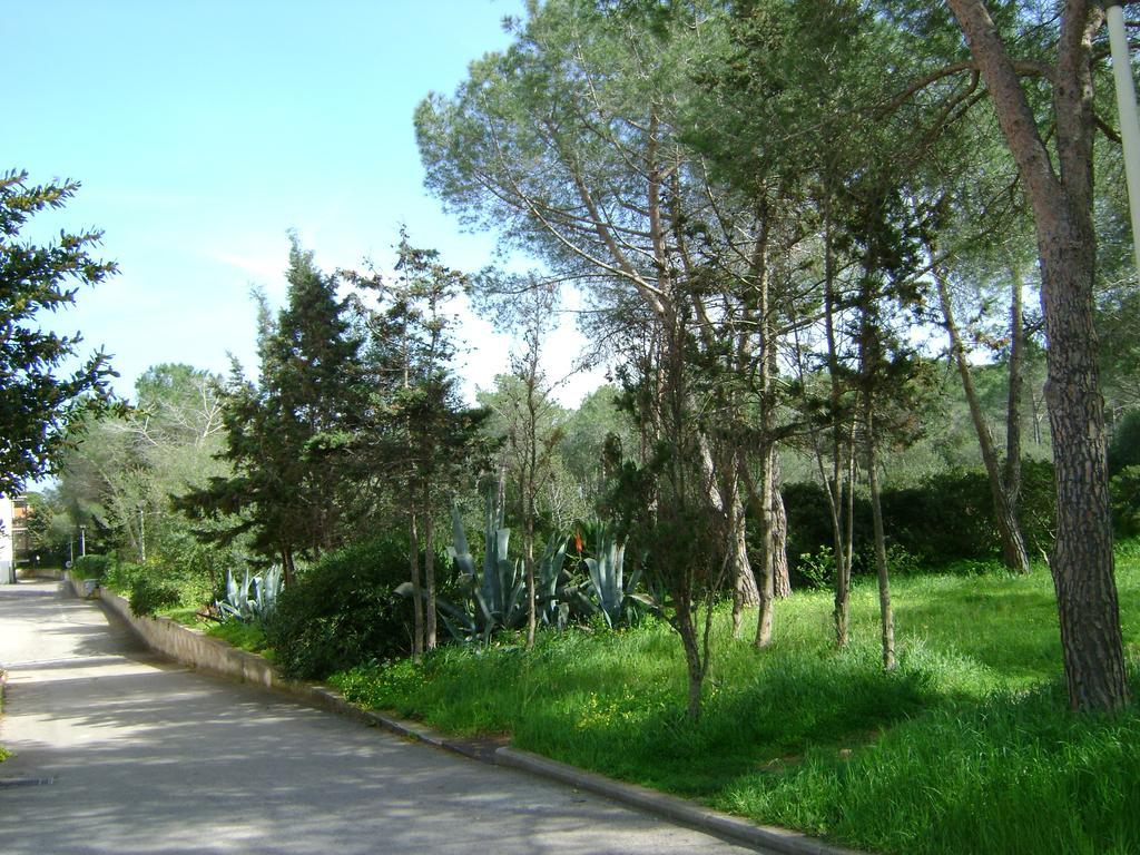 Appartamento Maraviglios Alguer Exterior foto
